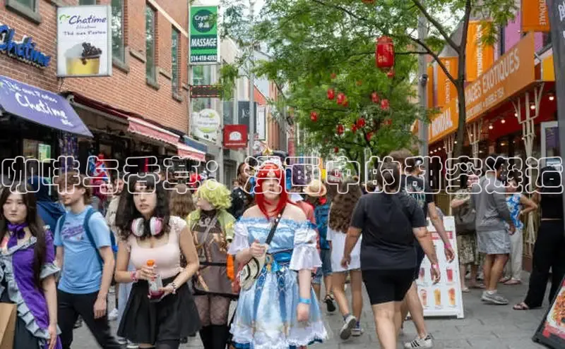 包子漫画app正版下载